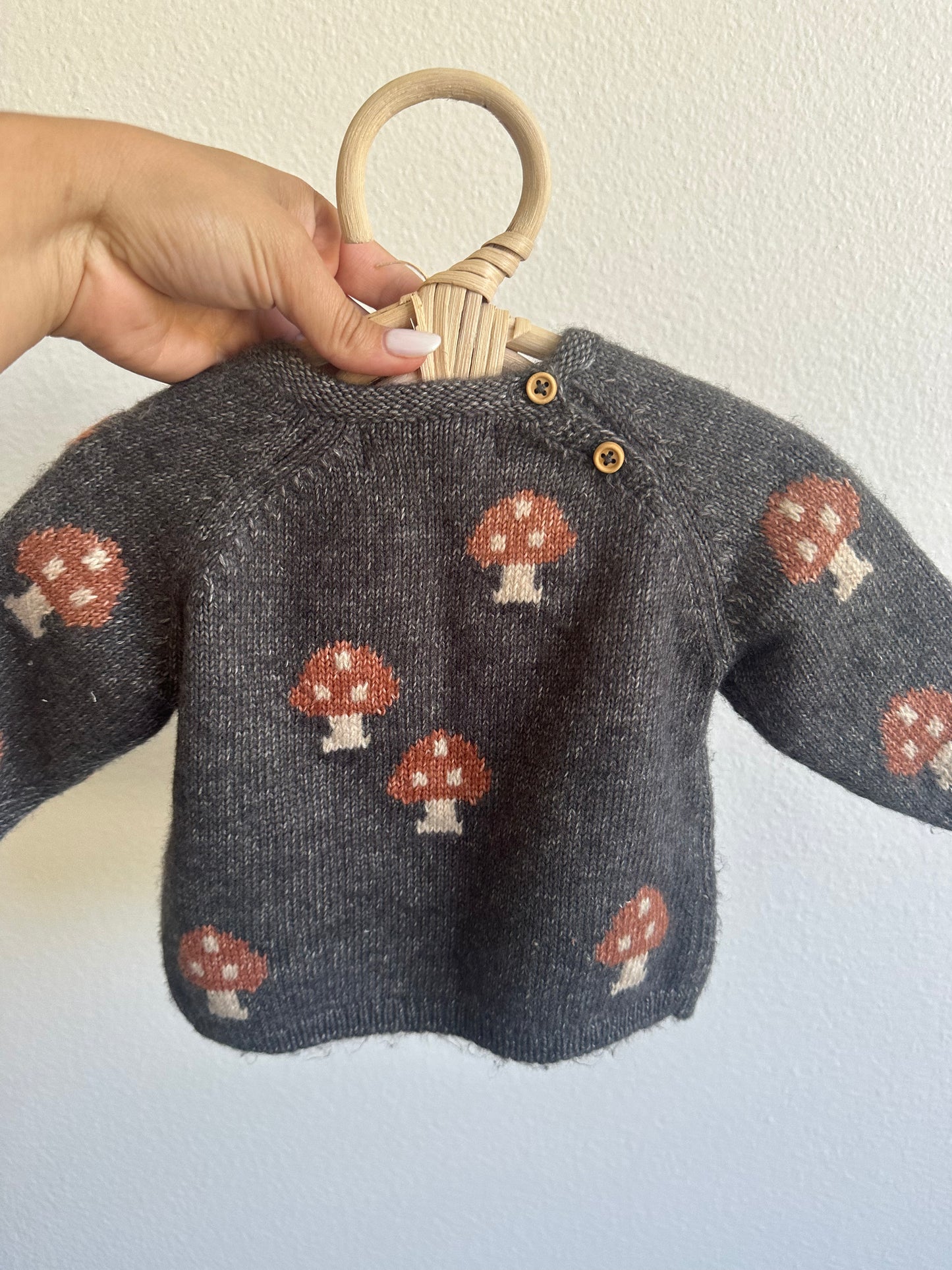 Zara HTF mushroom sweater (1/3)