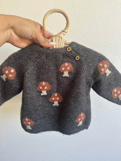 Zara HTF mushroom sweater (1/3)
