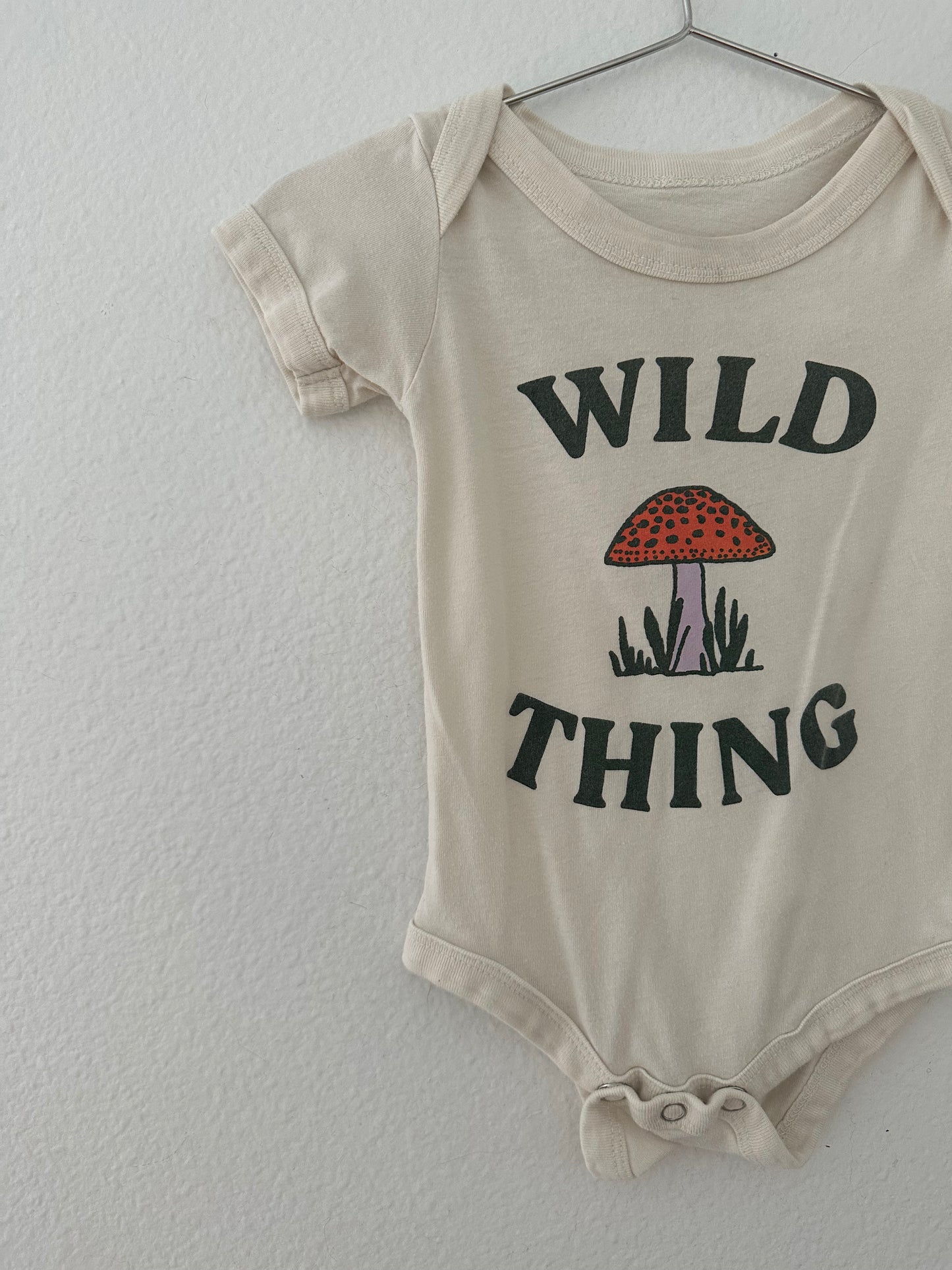 Wild thing onesie (6M)