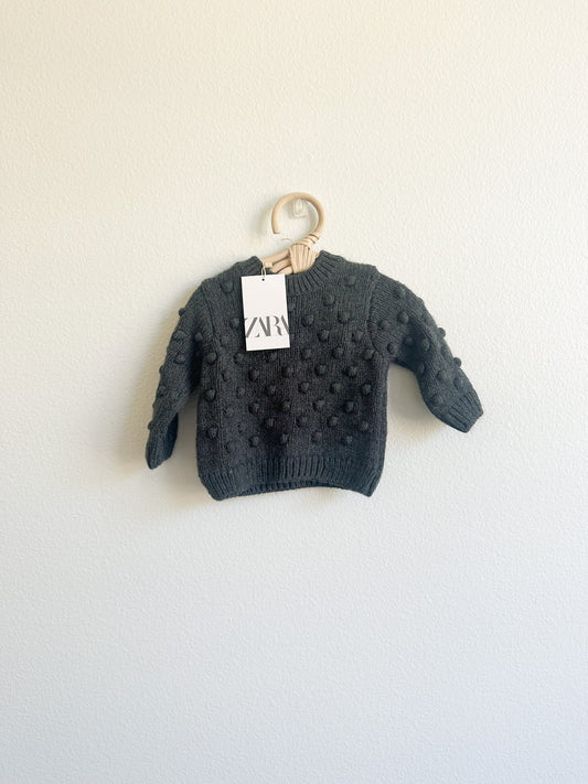 Zara pom sweater (1/3)