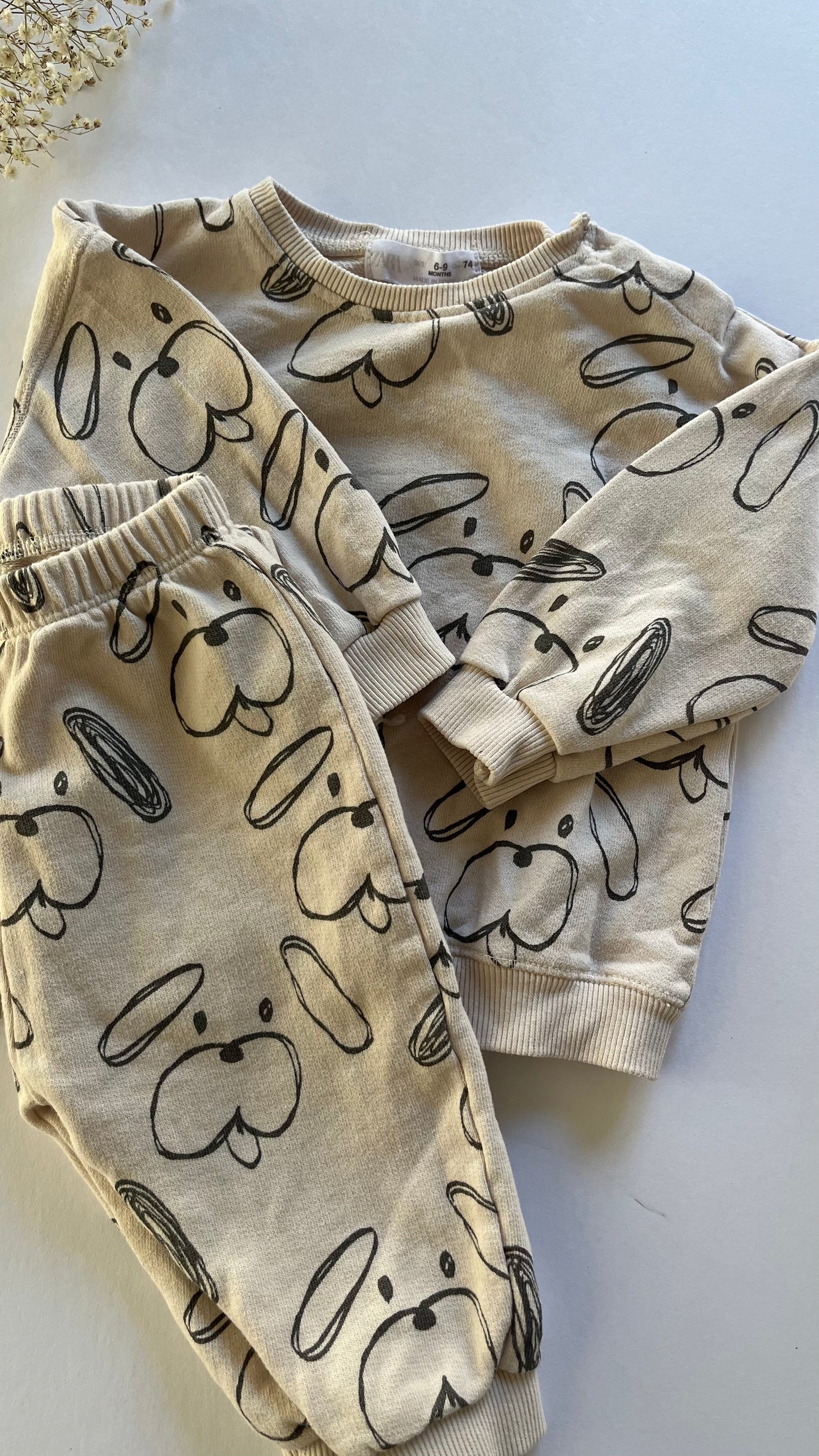 Zara set dog set (6/9)