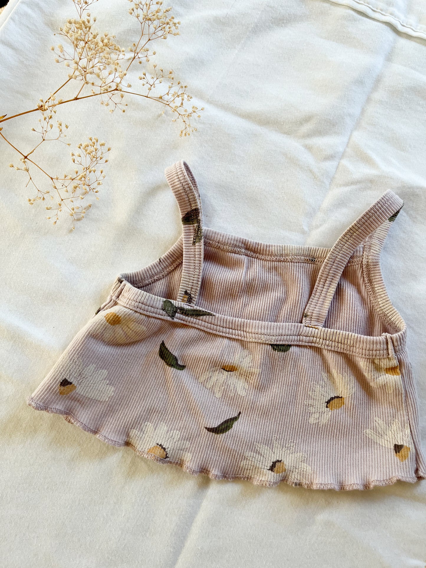 Wild Wawa Daisy Set