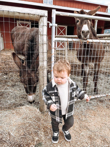 Zara flannel Sherpa jacket (2/3T)