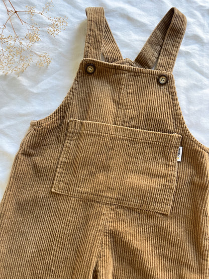 DGLife corduroy overalls (2/3T)