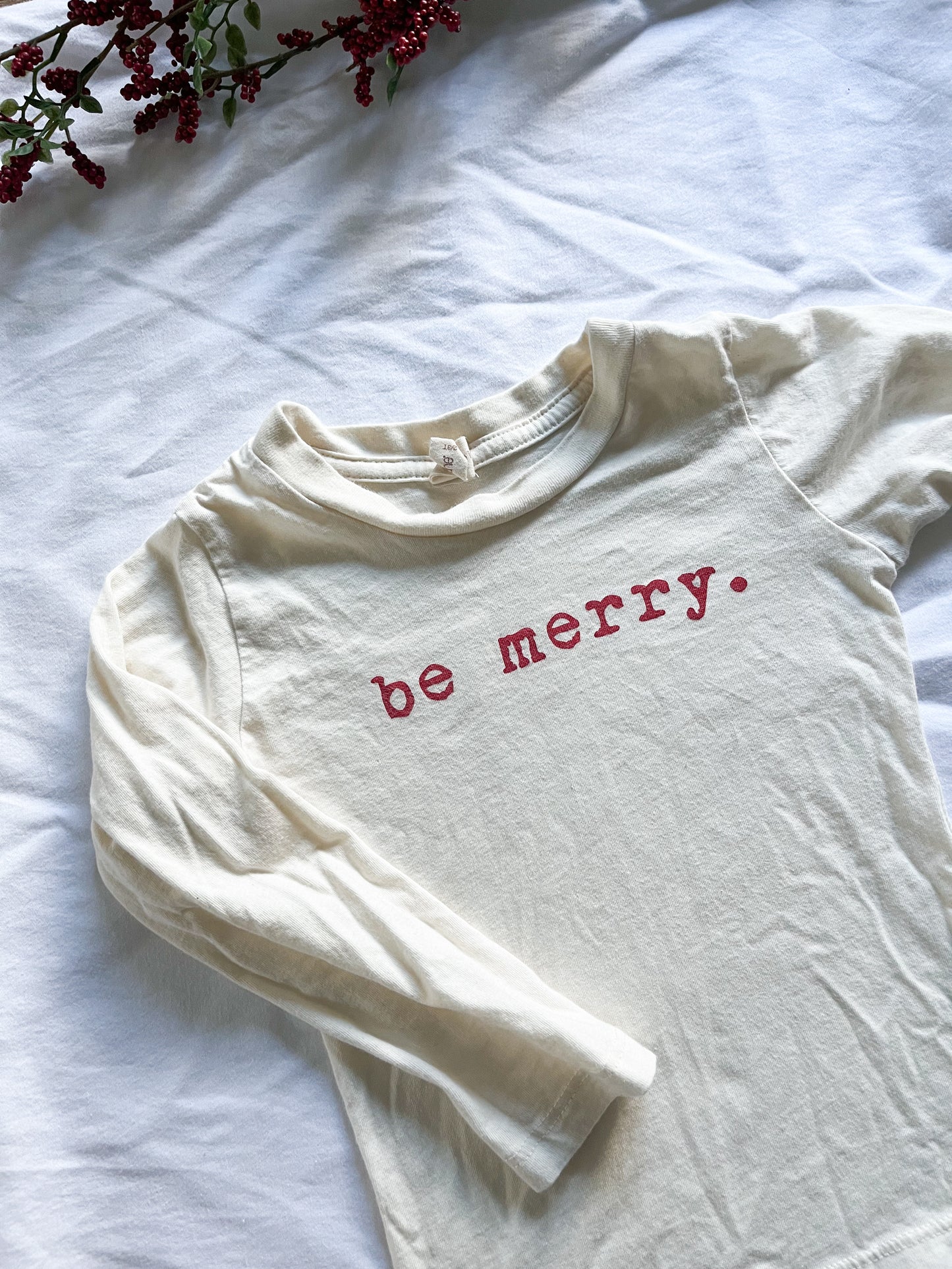 Tenth & pine Merry long sleeve shirt (2/3T)