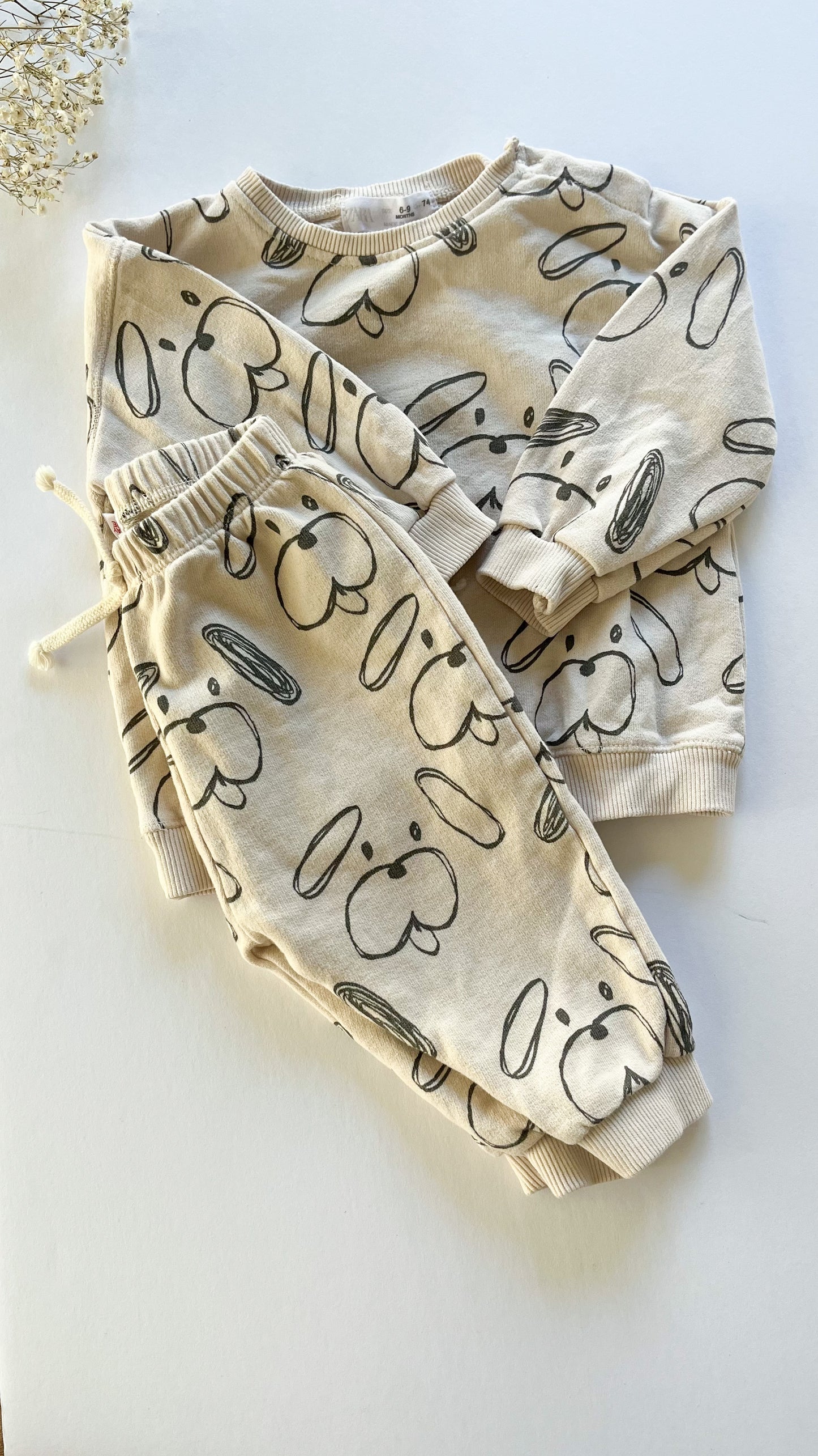 Zara set dog set (6/9)