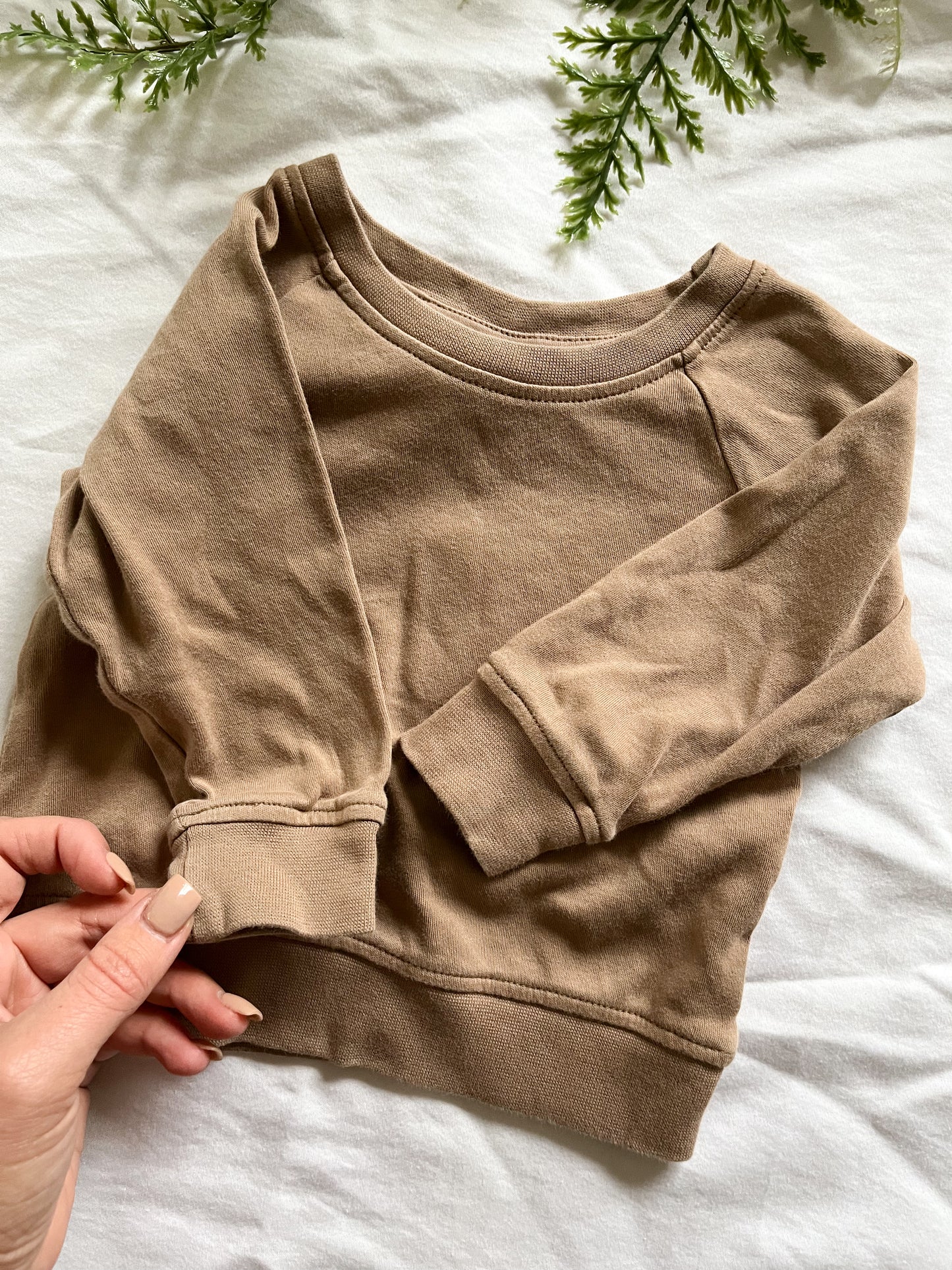 Colored organics cotton set (6/12)