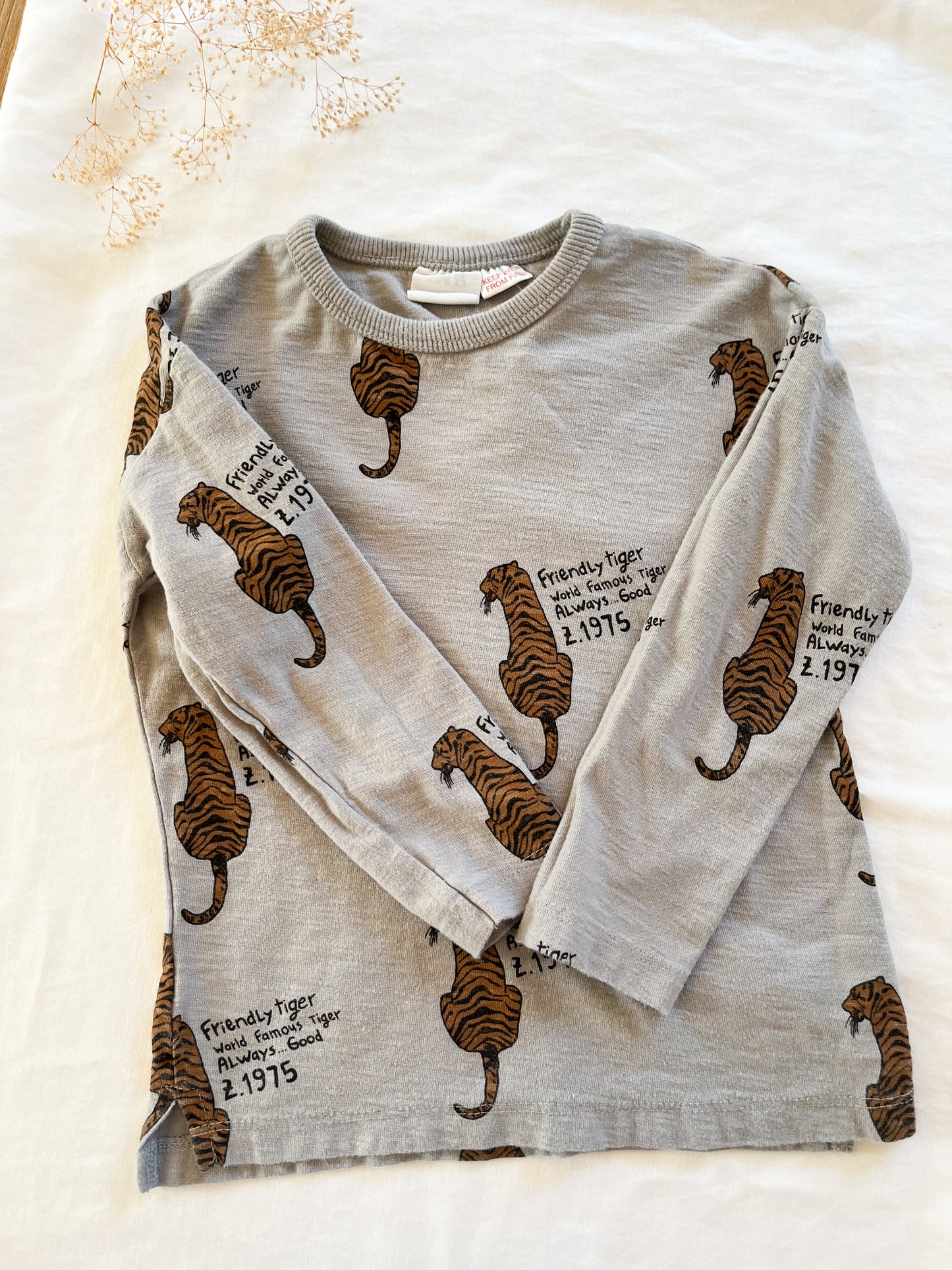 Zara tiger long sleeve (2/3T)
