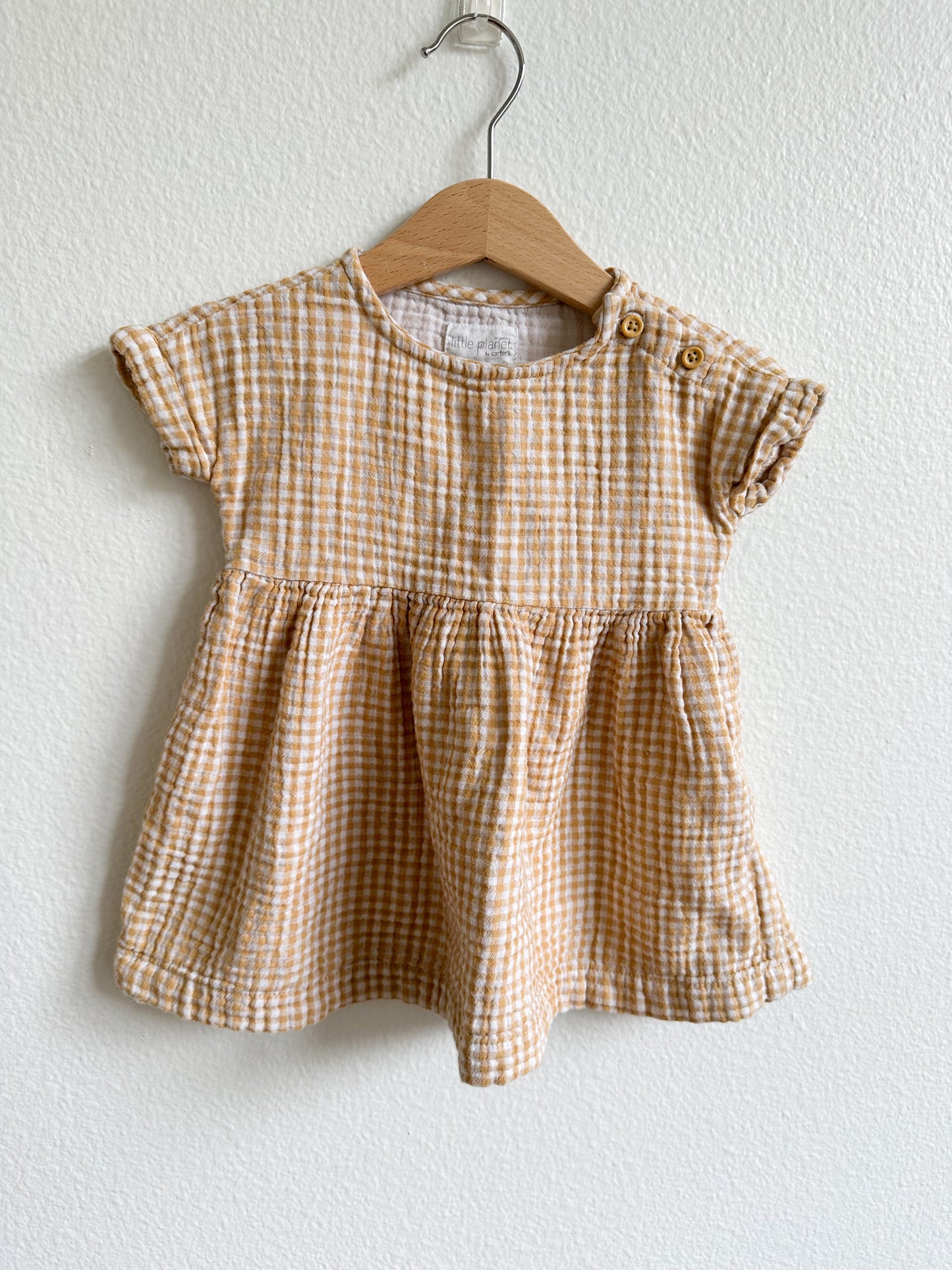 Little planet gingham dress (6M)