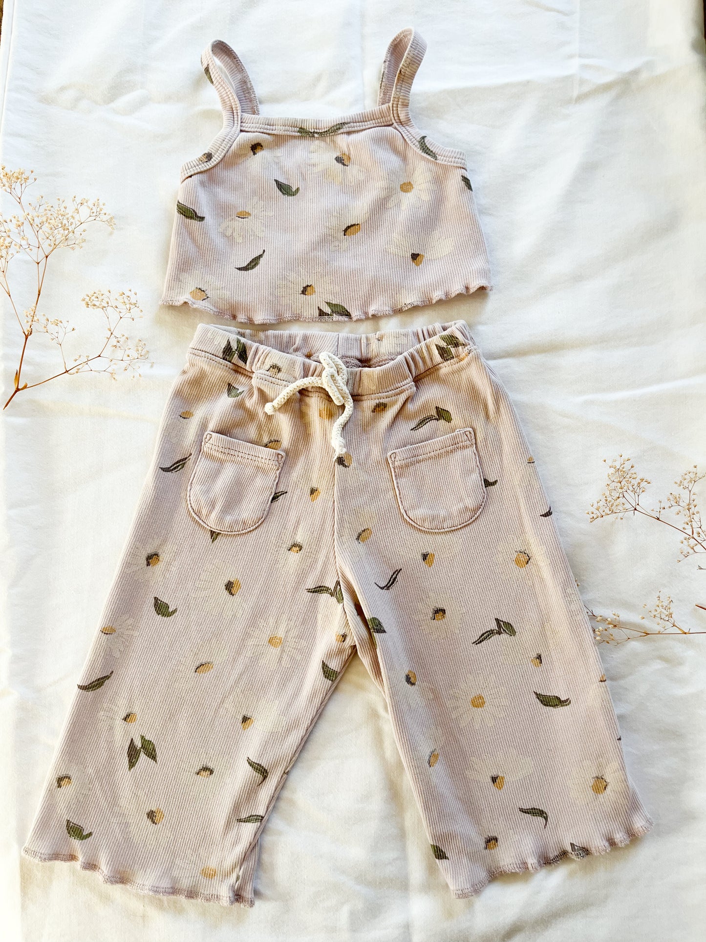 Wild Wawa Daisy Set