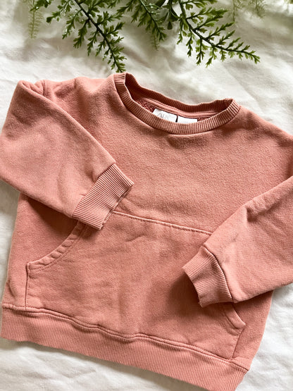 Zara pink crewneck (6/12)