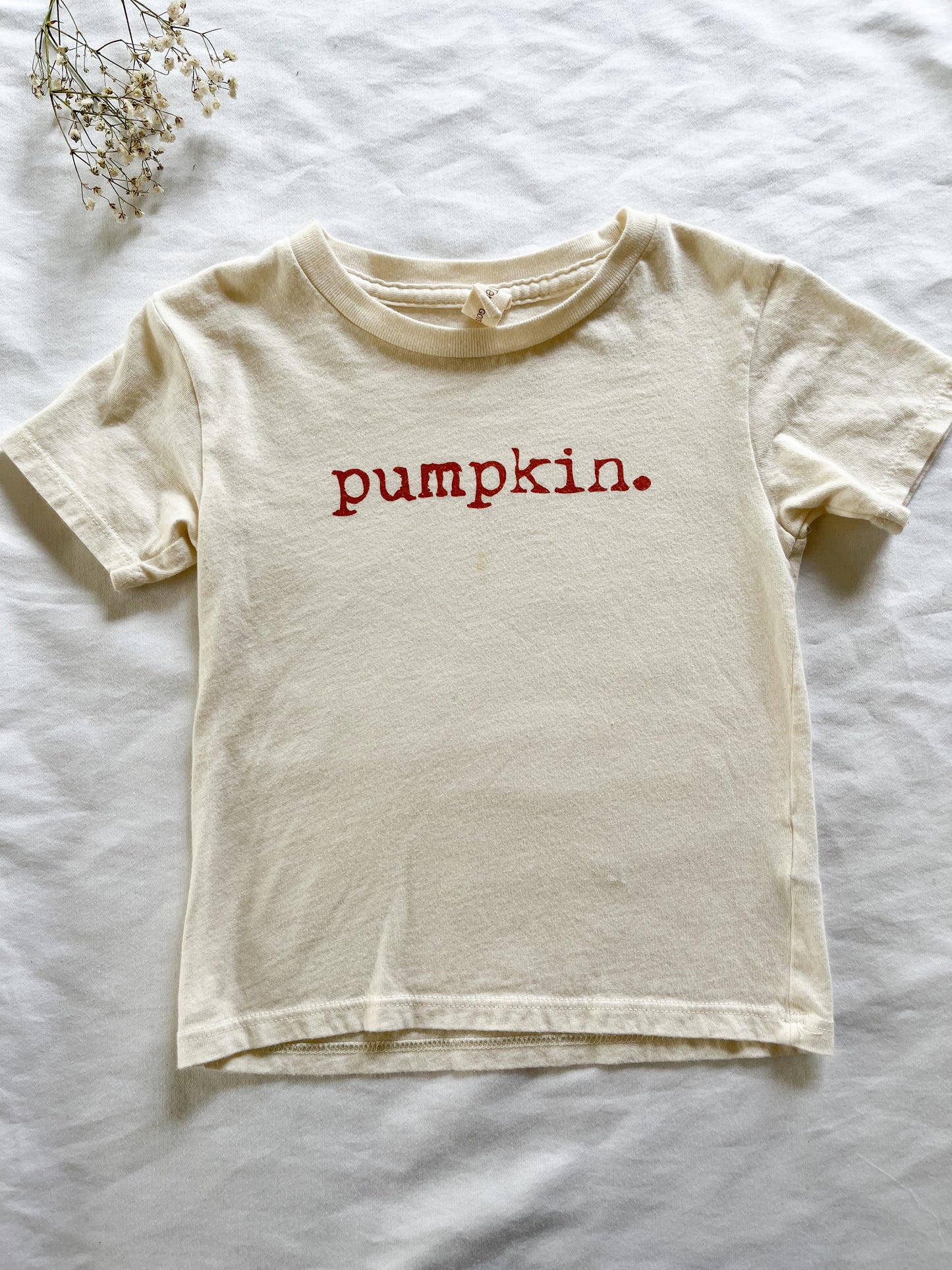 Pumpkin tee (18/24)