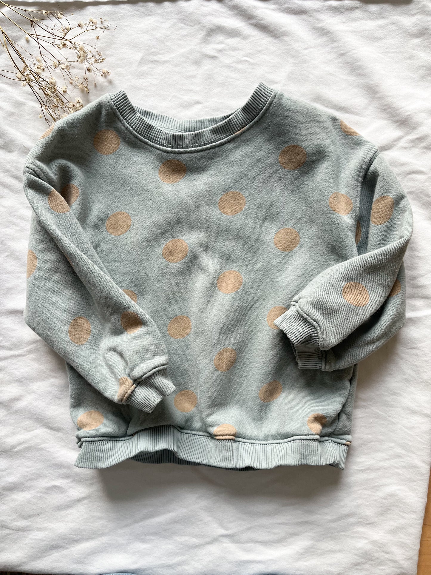 Zara polka dot sweatshirt (3/4T)