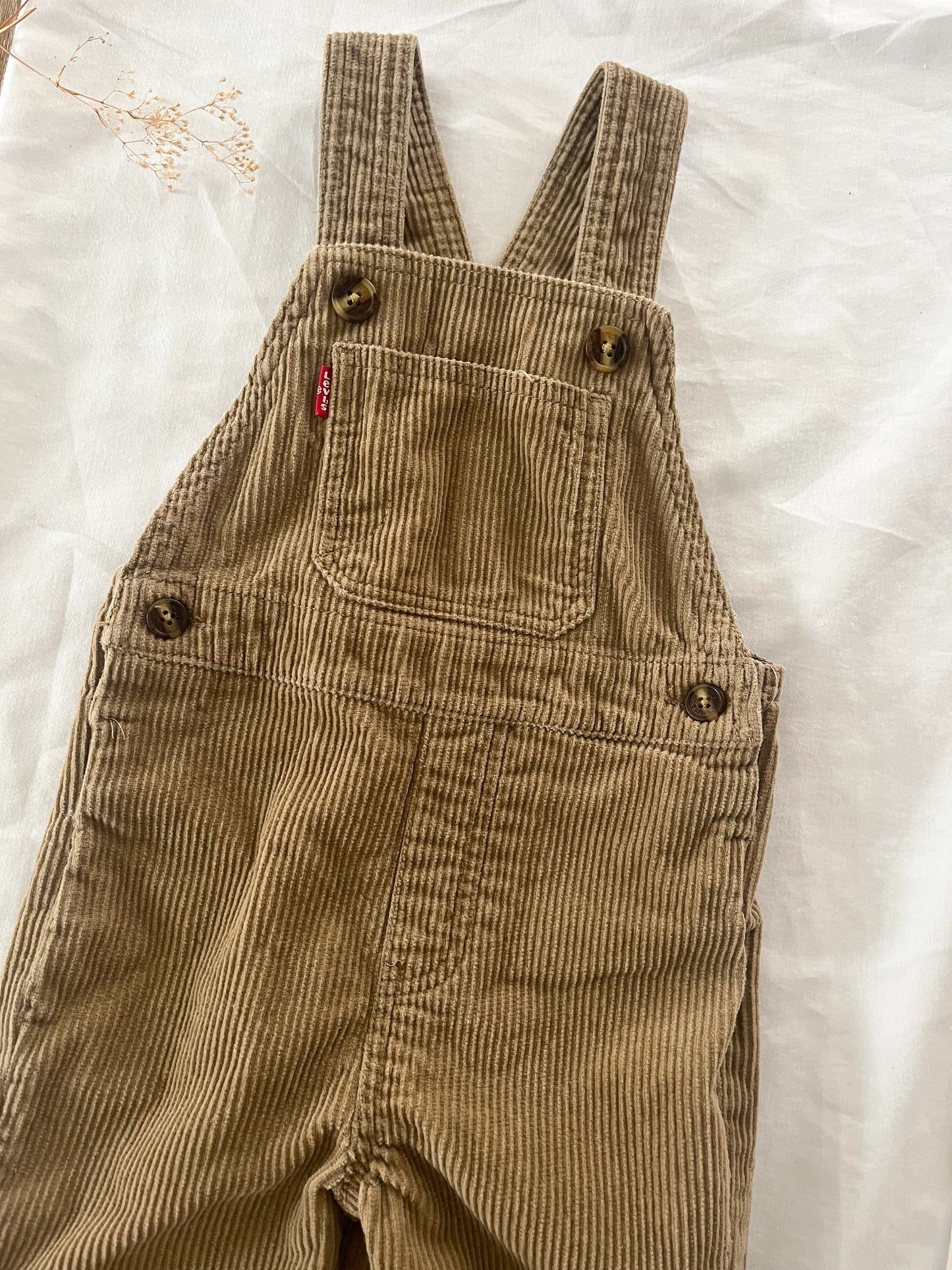 Levi’s corduroy overalls (2T)