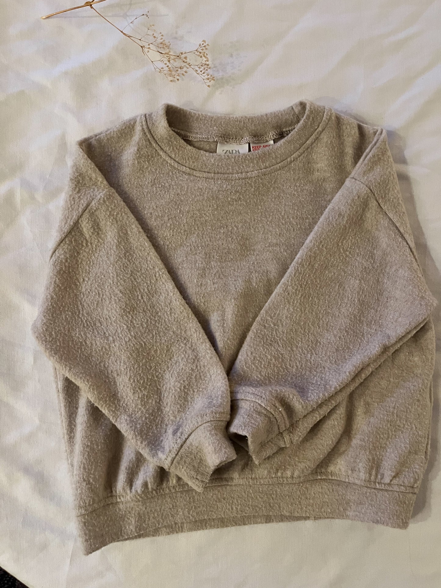 Zara fleece sweatshirt (2/3T)