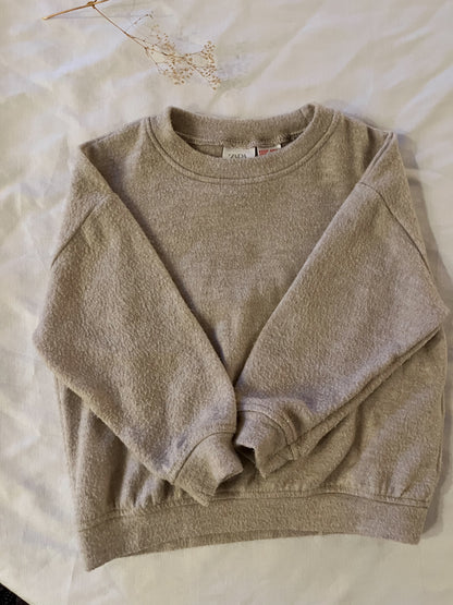 Zara fleece sweatshirt (2/3T)