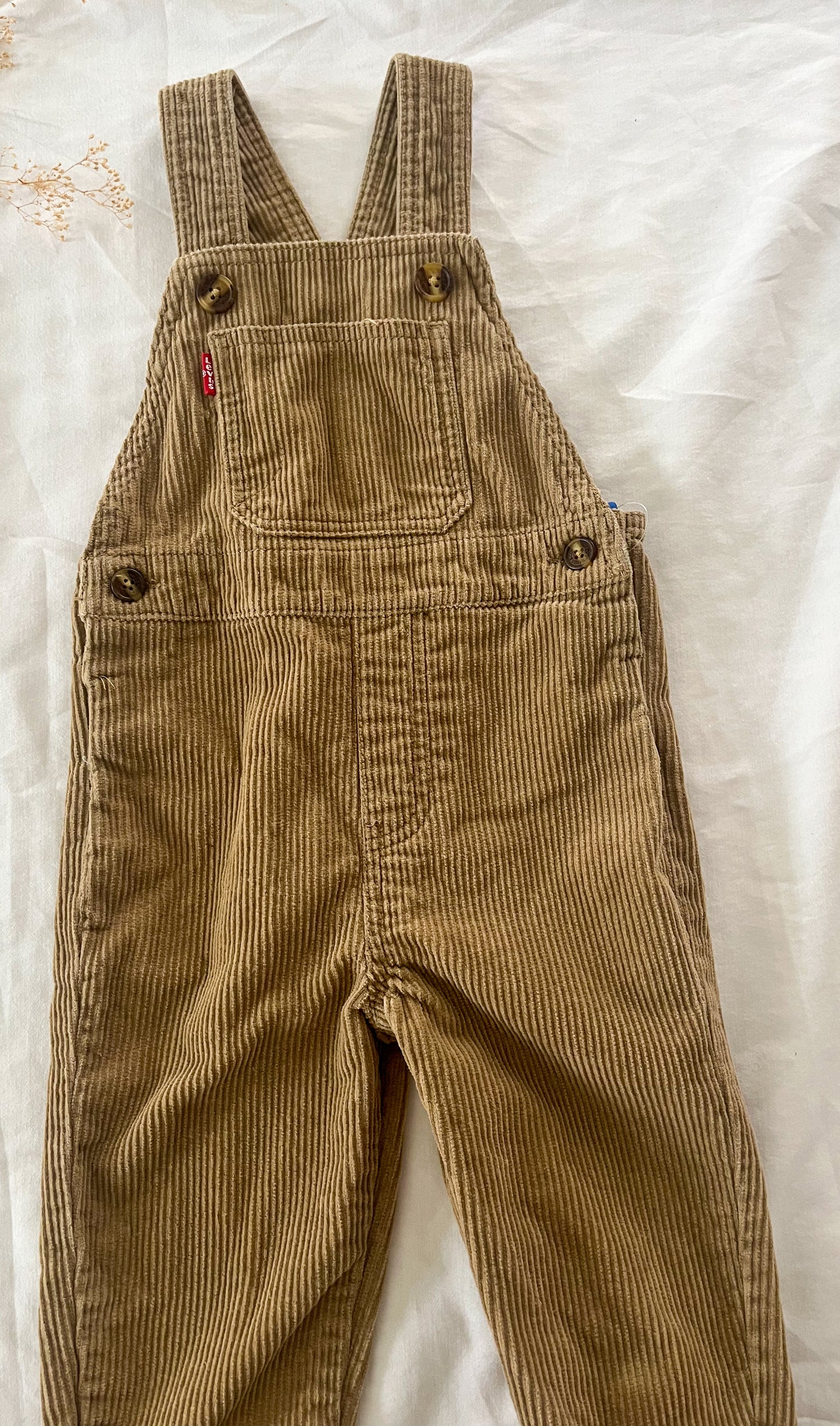 Levi’s corduroy overalls (2T)